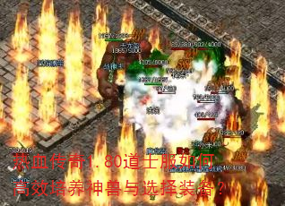 热血传奇1.80道士服如何高效培养神兽与选择装备? 热血传奇1.80道士服如何高效培养神兽与选择装备?