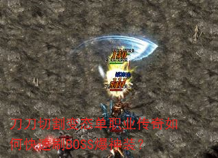 �����и��̬��ְҵ������ο���ˢBOSS����װ��