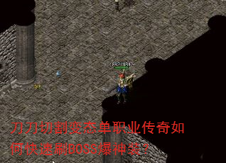 �����и��̬��ְҵ������ο���ˢBOSS����װ��