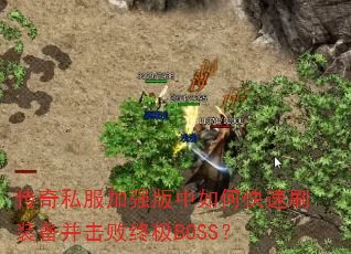 ����˽����ǿ������ο���ˢװ���������ռ�BOSS��