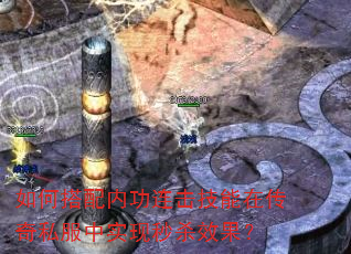 ��δ����ڹ����������ڴ���˽����ʵ����ɱЧ����