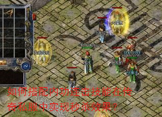 ��δ����ڹ����������ڴ���˽����ʵ����ɱЧ����