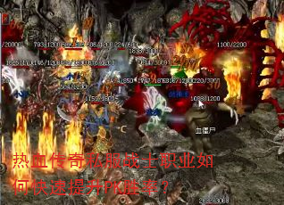 ��Ѫ����˽��սʿְҵ��ο�������PKʤ�ʣ�