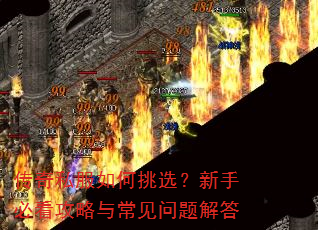 ����˽�������ѡ�����ֱؿ������볣��������