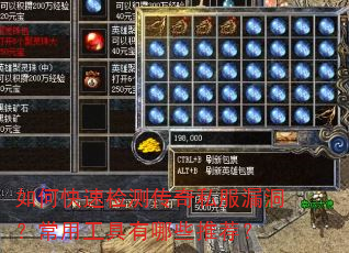 ��ο��ټ�⴫��˽��©�������ù�������Щ�Ƽ���