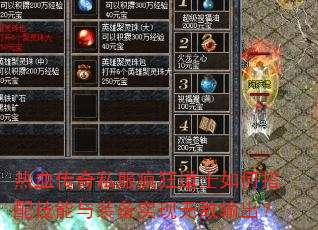 ��Ѫ����˽������ʿ��δ��似����װ��ʵ���޵������