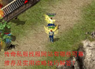 ����˽���ҷ���վ����Щ�ɿ��Ƽ���ʵ�ù��Լ��ɽ��