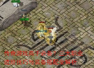 ������Ϸ���ֱر�������ְҵ���׼�����װ������ȫ����