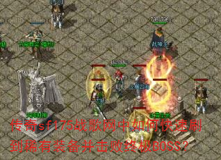 ����sf175ս��������ο���ˢ��ϡ��װ���������ռ�BOSS��