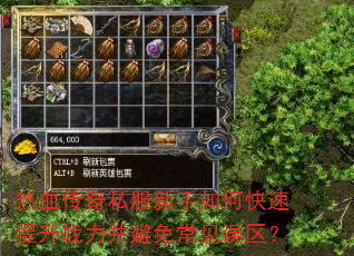 ��Ѫ����˽��������ο�������ս�������ⳣ��������