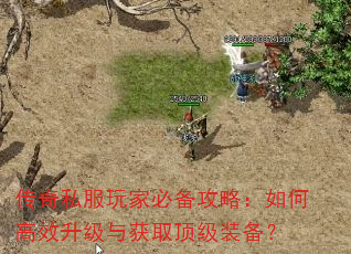 ����˽����ұر����ԣ���θ�Ч�������ȡ����װ����