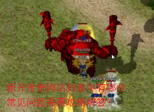 �¿�������վ�б�������Щ����������Ҫ���Խ��