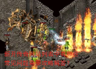 �¿�������վ�б�������Щ����������Ҫ���Խ��