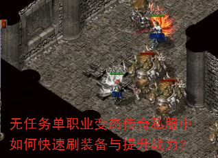 ������ְҵ��̬����˽������ο���ˢװ��������ս����