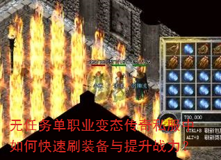 ������ְҵ��̬����˽������ο���ˢװ��������ս����