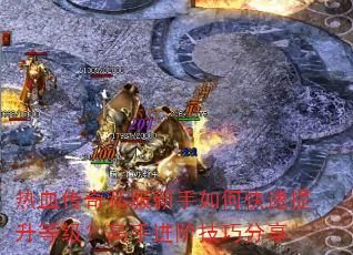 ��Ѫ����˽��������ο��������ȼ������ֽ��׼��ɷ���