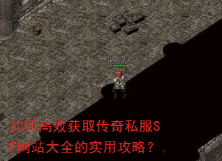 ��θ�Ч��ȡ����˽��SF��վ��ȫ��ʵ�ù��ԣ�