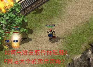 ��θ�Ч��ȡ����˽��SF��վ��ȫ��ʵ�ù��ԣ�