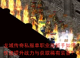 ���Ǵ���˽����ְҵ��������ο�������ս�����ȡϡ��װ����