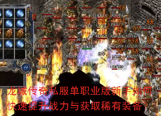 ���Ǵ���˽����ְҵ��������ο�������ս�����ȡϡ��װ����