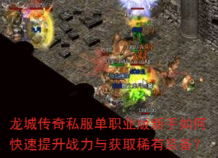 ���Ǵ���˽����ְҵ��������ο�������ս�����ȡϡ��װ����