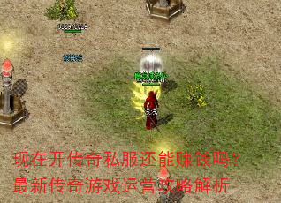 ���ڿ�����˽������׬Ǯ�����´�����Ϸ��Ӫ���Խ���