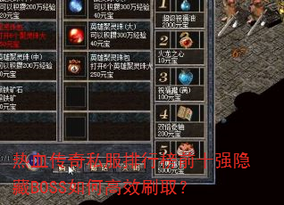 ��Ѫ����˽�����а�ǰʮǿ����BOSS��θ�Чˢȡ��