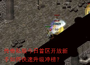 ����˽��������������������ο����������