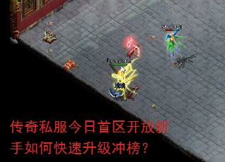 ����˽��������������������ο����������