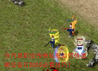 ���µ�ְҵ����˽����ο���ˢװ����BOSS�ؿ����ɣ�