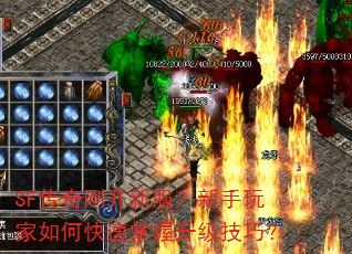 SF����տ��·������������ο��������������ɣ�