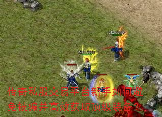 ����˽������ƽ̨������α��ⱻƭ����Ч��ȡ����װ����