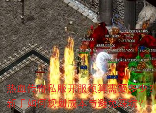 ��Ѫ����˽������Ԥ����Ҫ���٣�������ι滮�ɱ������ȿӣ�