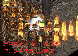 ��ѩ����˽��������ο�����������ȡ����װ����