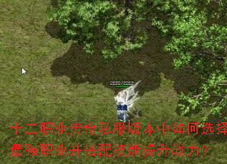 ʮ��ְҵ����˽���汾�����ѡ����ǿְҵ�����似������ս����