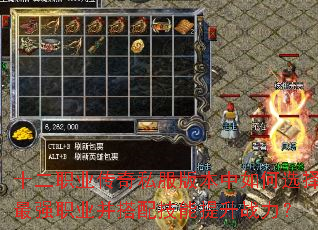 ʮ��ְҵ����˽���汾�����ѡ����ǿְҵ�����似������ս����