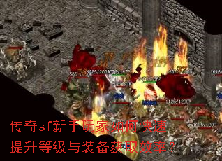 ����sf���������ο��������ȼ���װ����ȡЧ�ʣ�