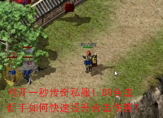 �տ�һ�봫��˽��1.80�ϻ�������ο��������ϻ��˺���