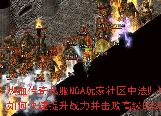 ��Ѫ����˽��NGA��������з�ʦְҵ��ο�������ս�������ܸ߼�BOSS��