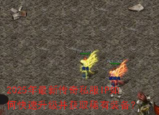 2025�����´���˽��IP��ο�����������ȡϡ��װ����