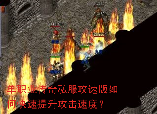 ��ְҵ����˽�����ٰ���ο������������ٶȣ�