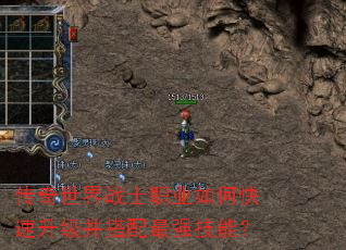 ��������սʿְҵ��ο���������������ǿ���ܣ�