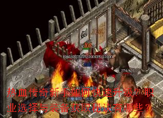 ��Ѫ����������ο���������ְҵѡ����װ����ȡ�ؾ�����Щ��