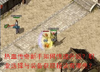 ��Ѫ����������ο���������ְҵѡ����װ����ȡ�ؾ�����Щ��