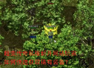 ���䴫��˽���¿���վ�����ο��ٻ�ȡϡ��װ����