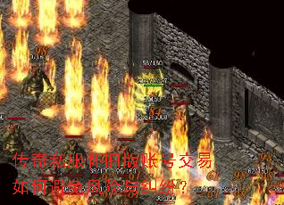 ����˽�����ɰ��˺Ž�����α����������ף�