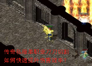 ����˽����ְҵ�����и���ο��������˺�Ч�ʣ�