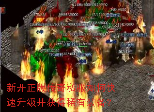 �¿����洫��˽����ο������������ϡ��װ����