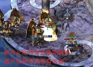 �¿����洫��˽����ο������������ϡ��װ����