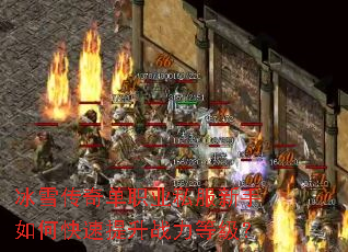 ��ѩ���浥ְҵ˽��������ο�������ս���ȼ���